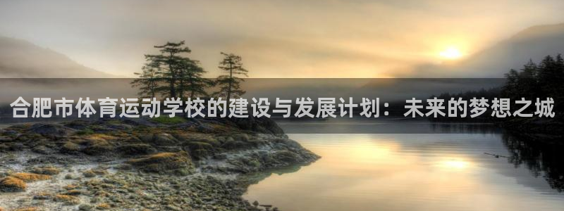 利记官网下载平台注册流程图:合肥市体育运动学校的建设与发展计