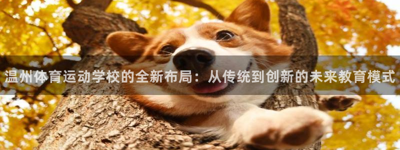 利记官网下载招商电话号码:温州体育运动学校的全新布局:从传统